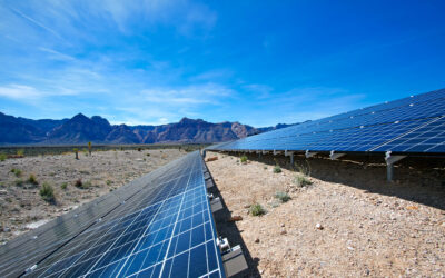 Arizona Senate controls the fate of Phoenix anti-solar rate